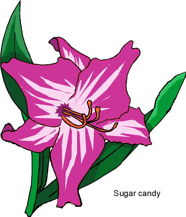 sugar-candy-flower-clipart.png