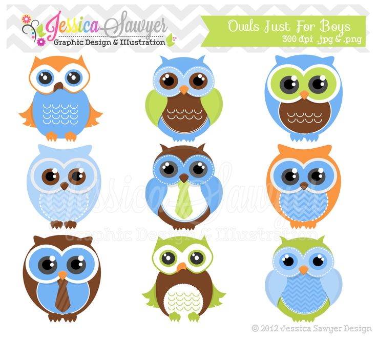 Owls on Pinterest | 34 Pins