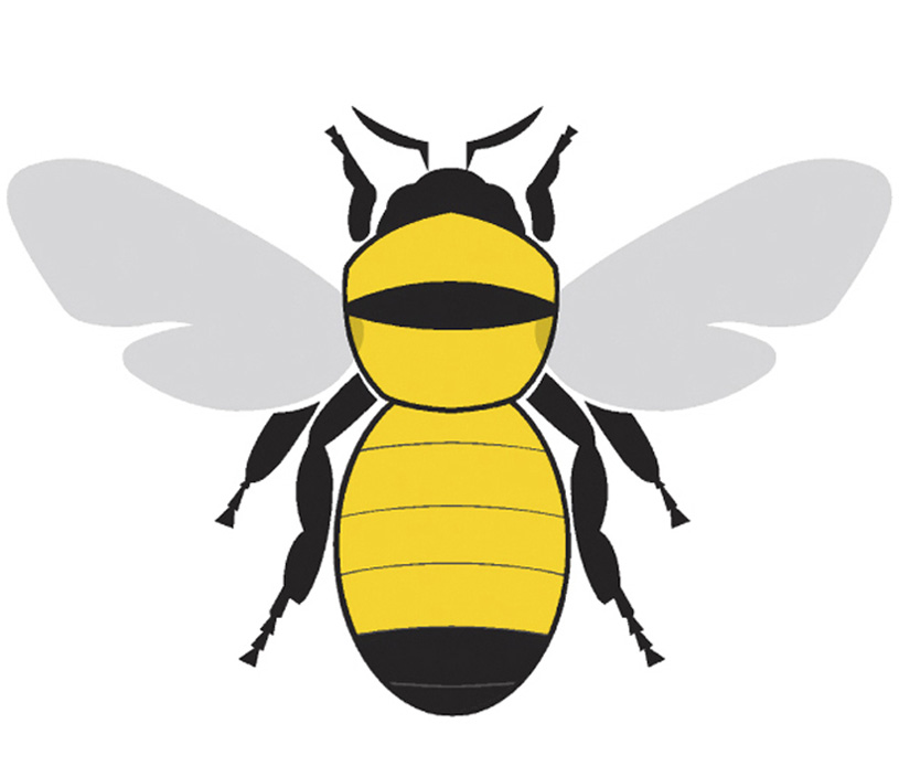 Bumble Bee Illustrations