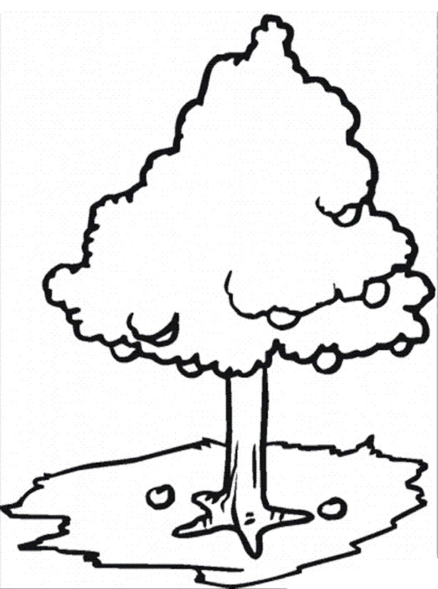 The Kid Boy Shows The Apple Tree Coloring For Kids - Tree Coloring ...