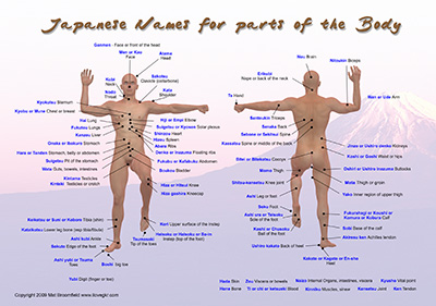 GKR Karate - Japanese names for parts of the body