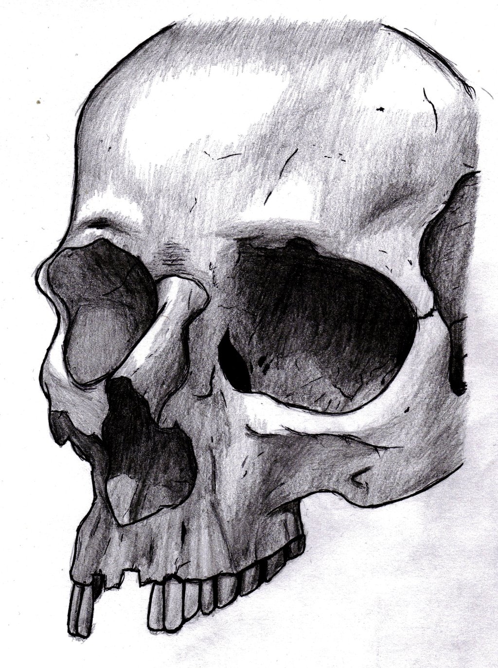 Skull Tattoo by Larthagos on DeviantArt