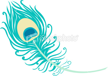 My Peacock Feather Illustration On Wedding Invitations ...