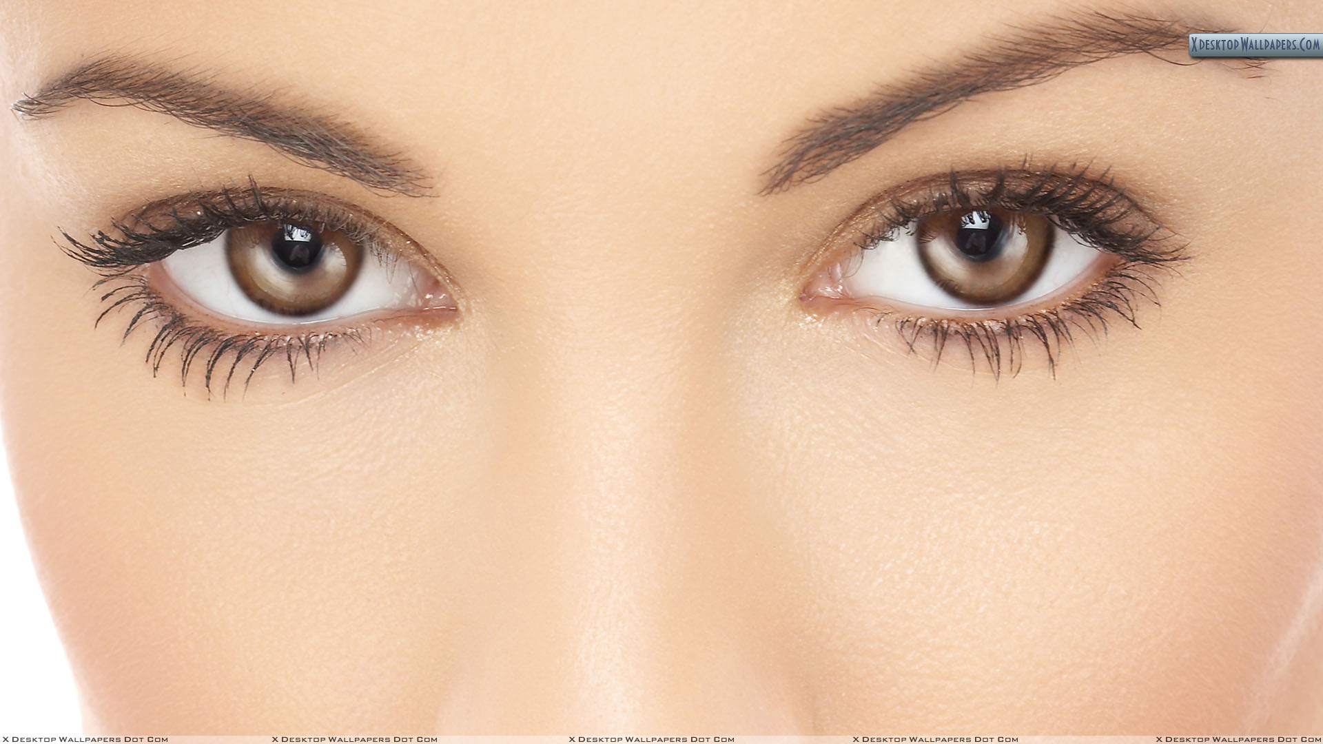 The best way to apply makeup for blue eyes | Fashion Huts