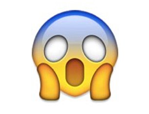 Would you log in to your bank account using EMOJI? | Daily Mail Online
