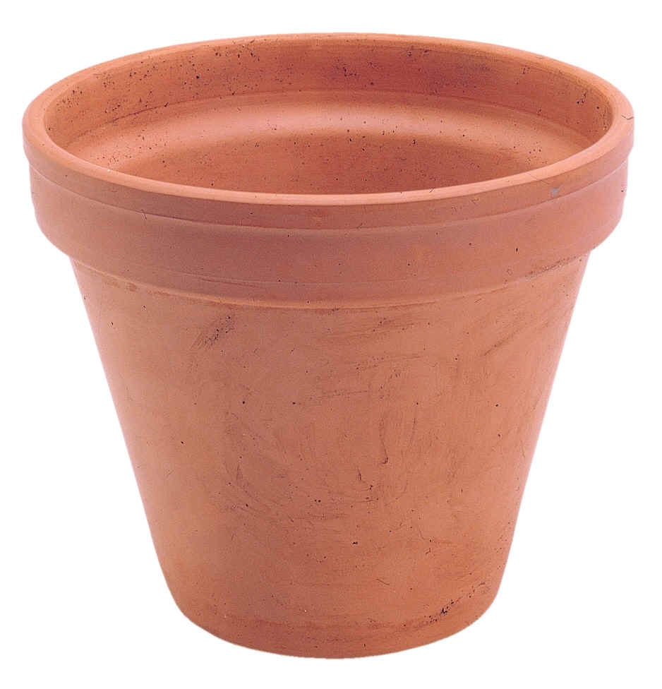 The PotVatar Club! (10k Posts Celebration!) [retired] | Page 10 ...