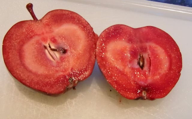 Red Love Apple - GuardianWitness