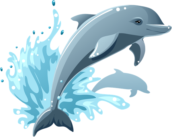 Cartoon Dolphins – Graphics Collection | My Free Photoshop World