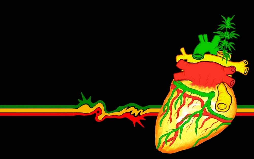 I smoke him like a rasta – Selector freestyle Lyrics Meaning