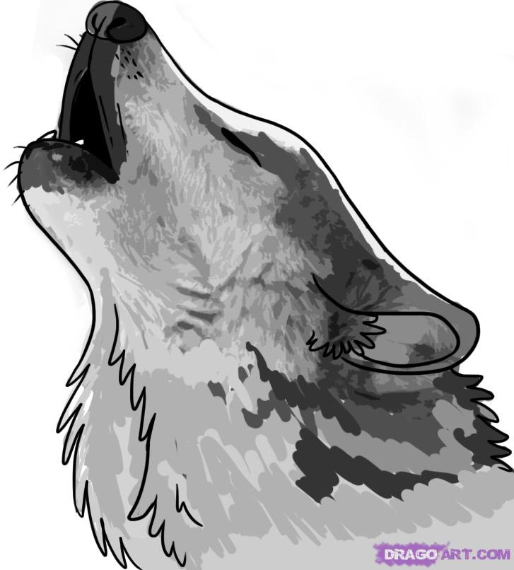 How to Draw a Howling Wolf, Step by Step, forest animals, Animals ...