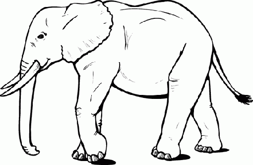 elephant-drawing-7112.gif (510×332) | Digital Painting | Pinterest