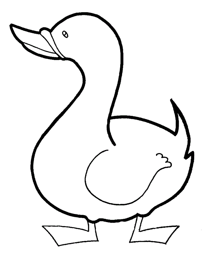 cute duckling Colouring Pages