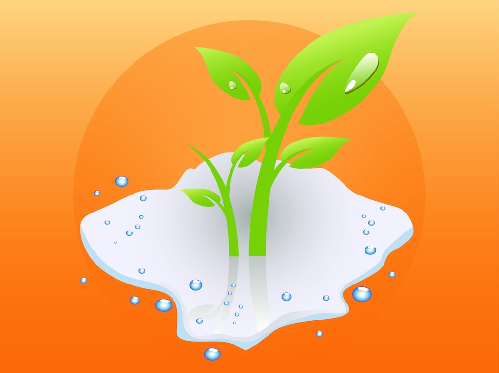 Wet Plant