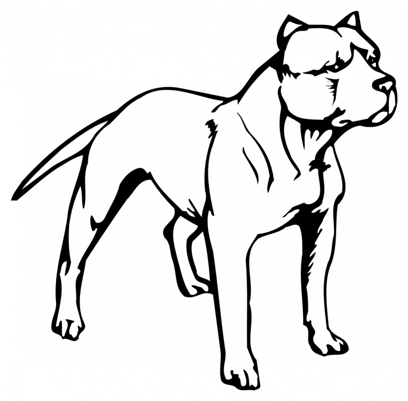 STAFFORDSHIRE BULL TERRIER 1304 Self adhesive vinyl Sticker Decal ...