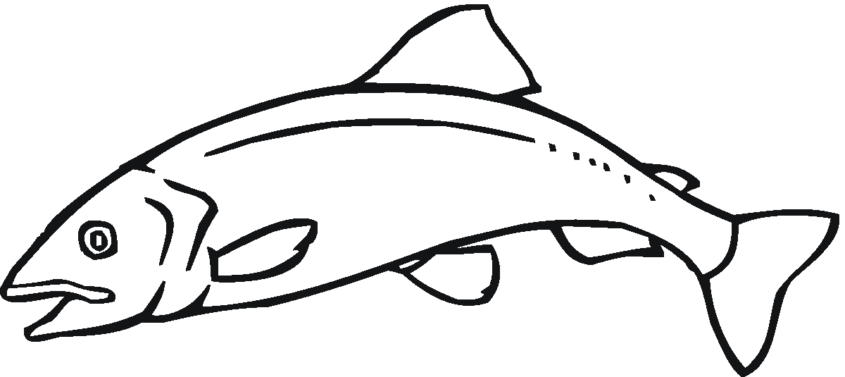 Sockeye Salmon Coloring Page