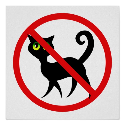 No Cats Allowed Print | Zazzle
