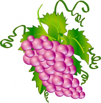 Pix For > Clipart Grapes