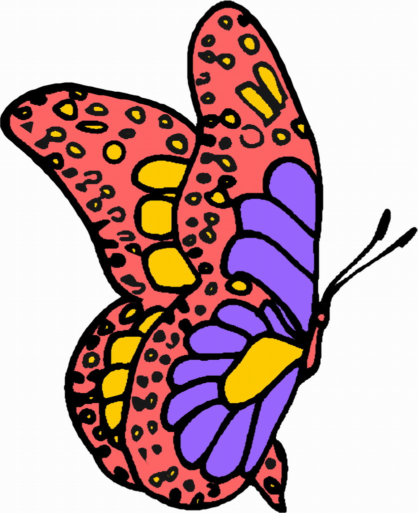 Free Images Of Cartoon Butterflies