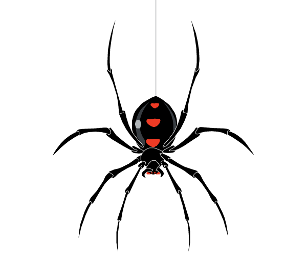 Free Spider Vector Image | Download Free Vector Art