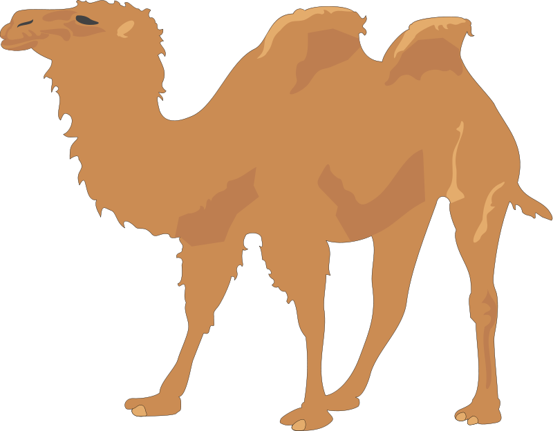 Camel 2 Free Vector / 4Vector