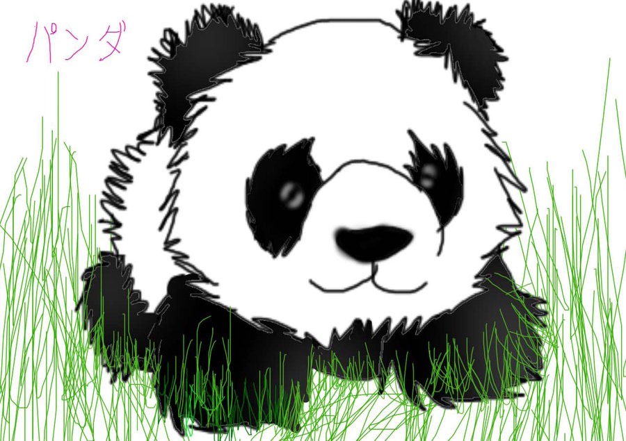 panda chibi by anime-girl12 on DeviantArt