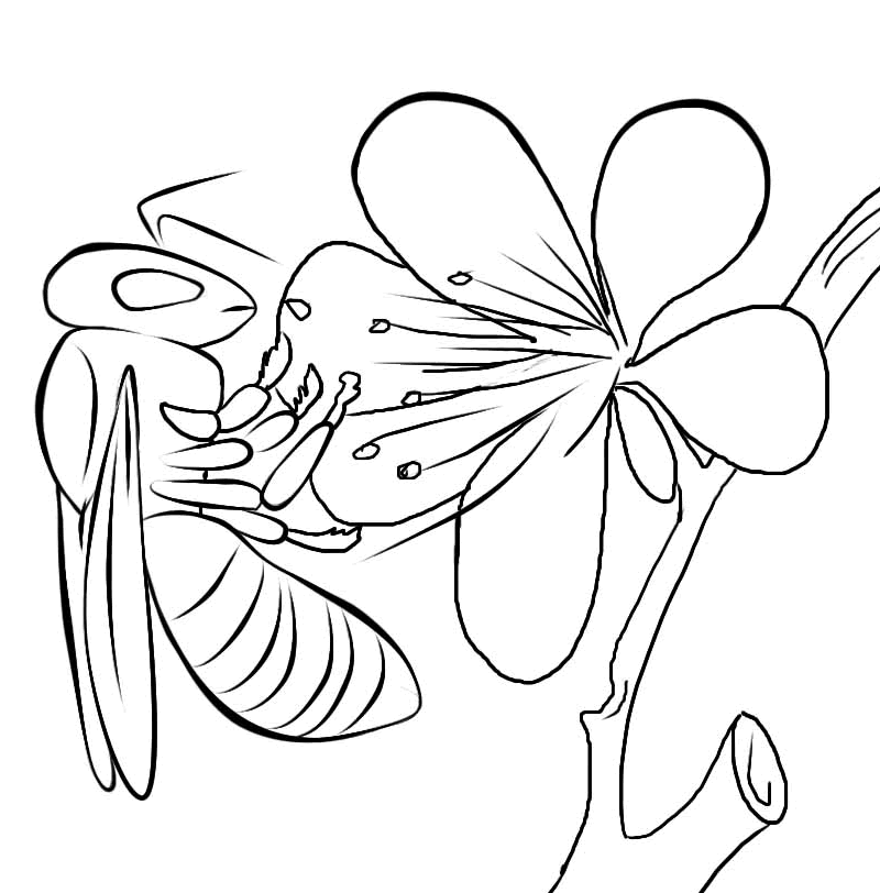 Bee Coloring Pages For Kids - AZ Coloring Pages