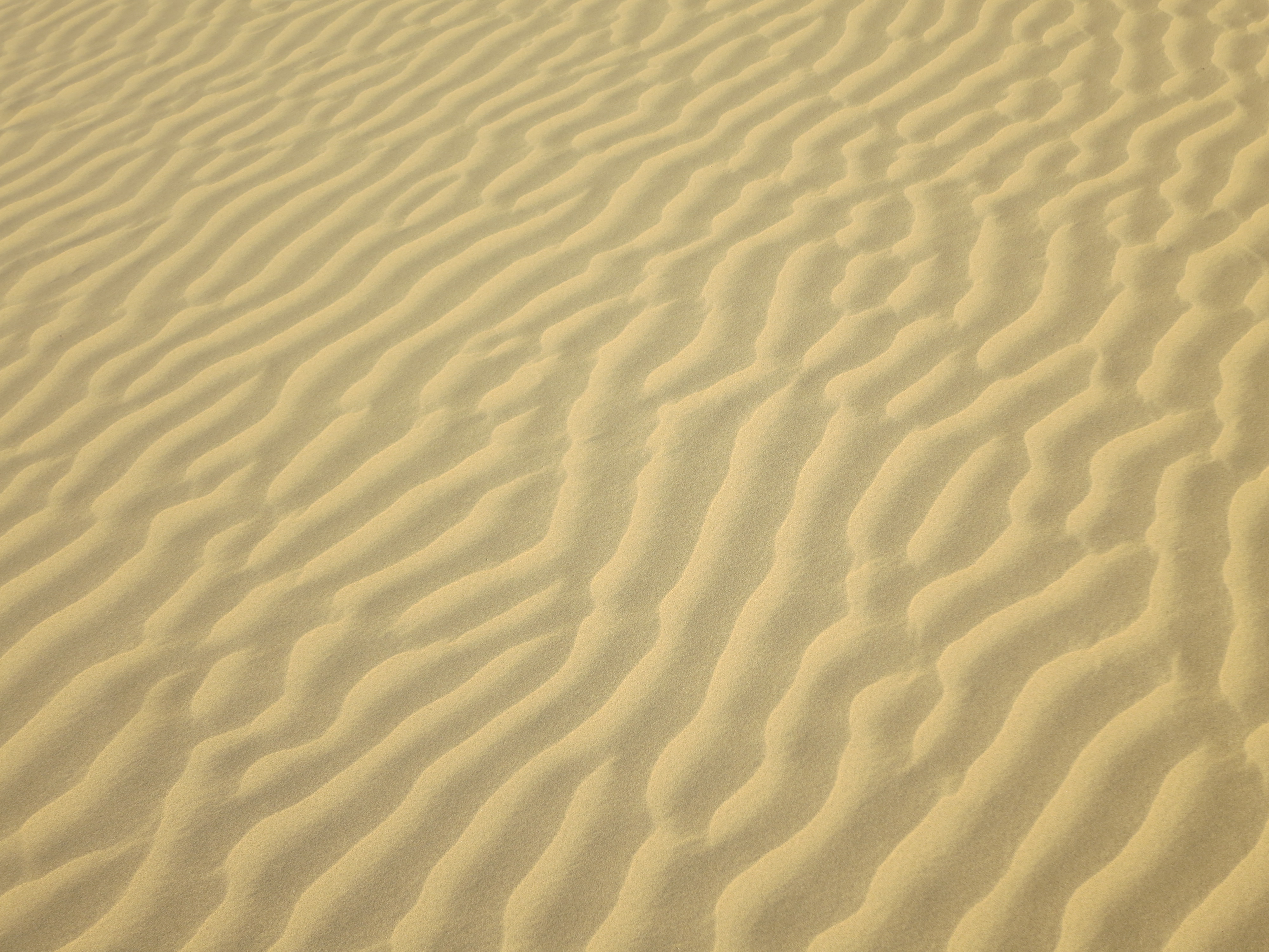 Seven Grains of Sand | A Blog about Science, Religion and Philosophy