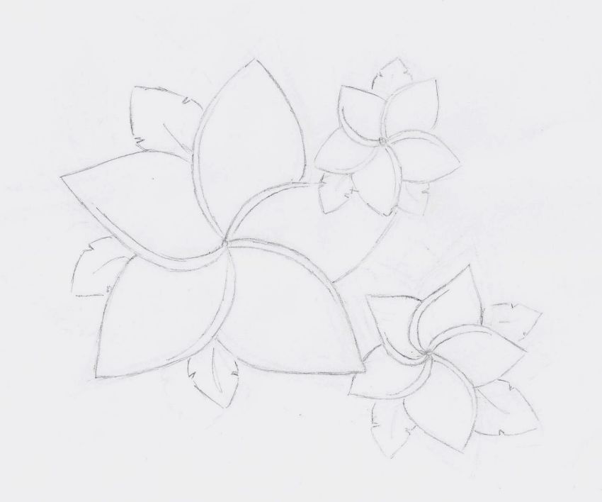 Hawaiian Flowers Drawings - Gallery