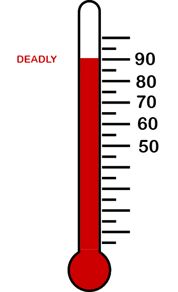 90-degree-thermometer | The Rogovoy Report