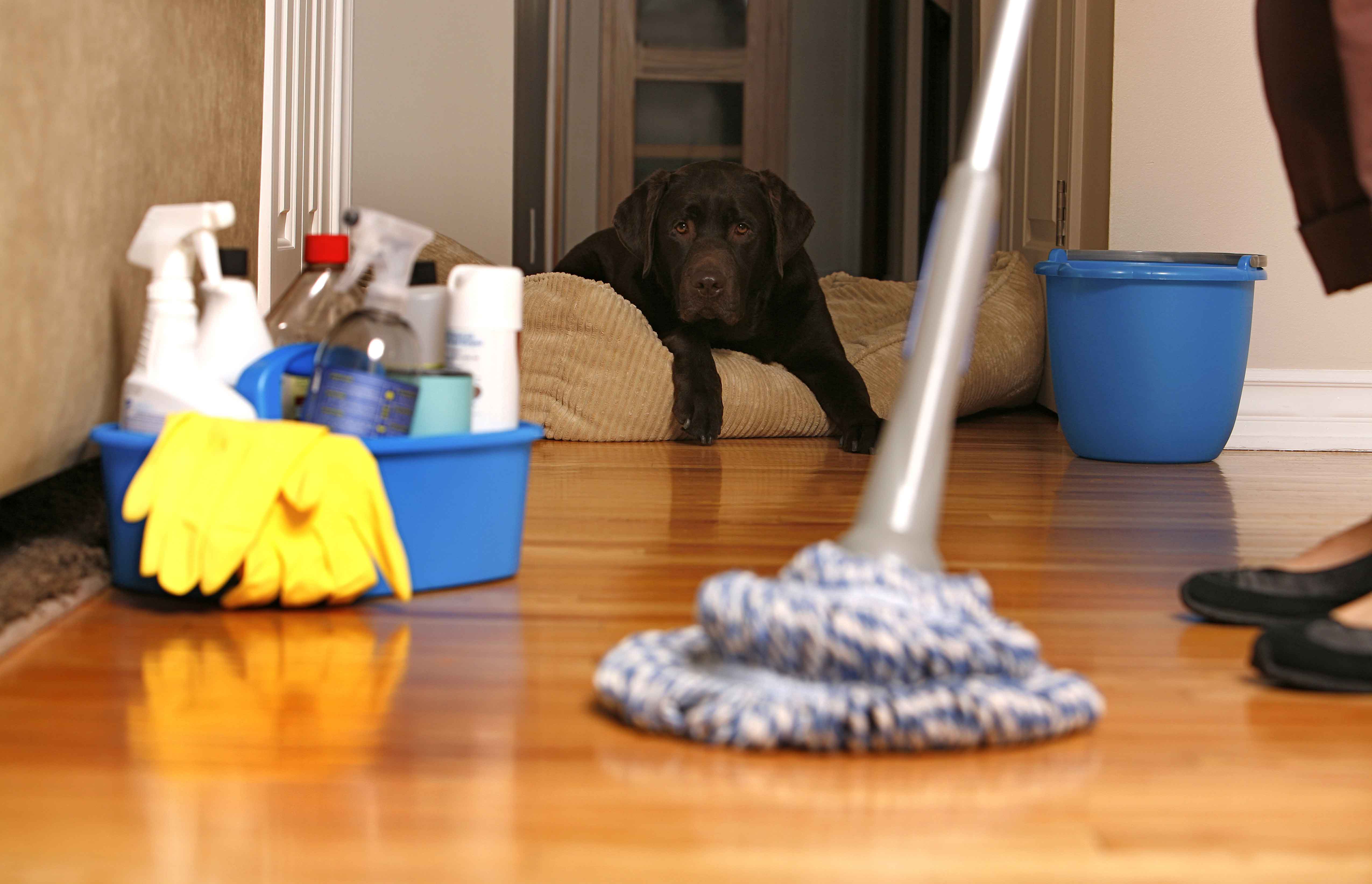 House Cleaning Chino- Cleaning Service Chino Hills