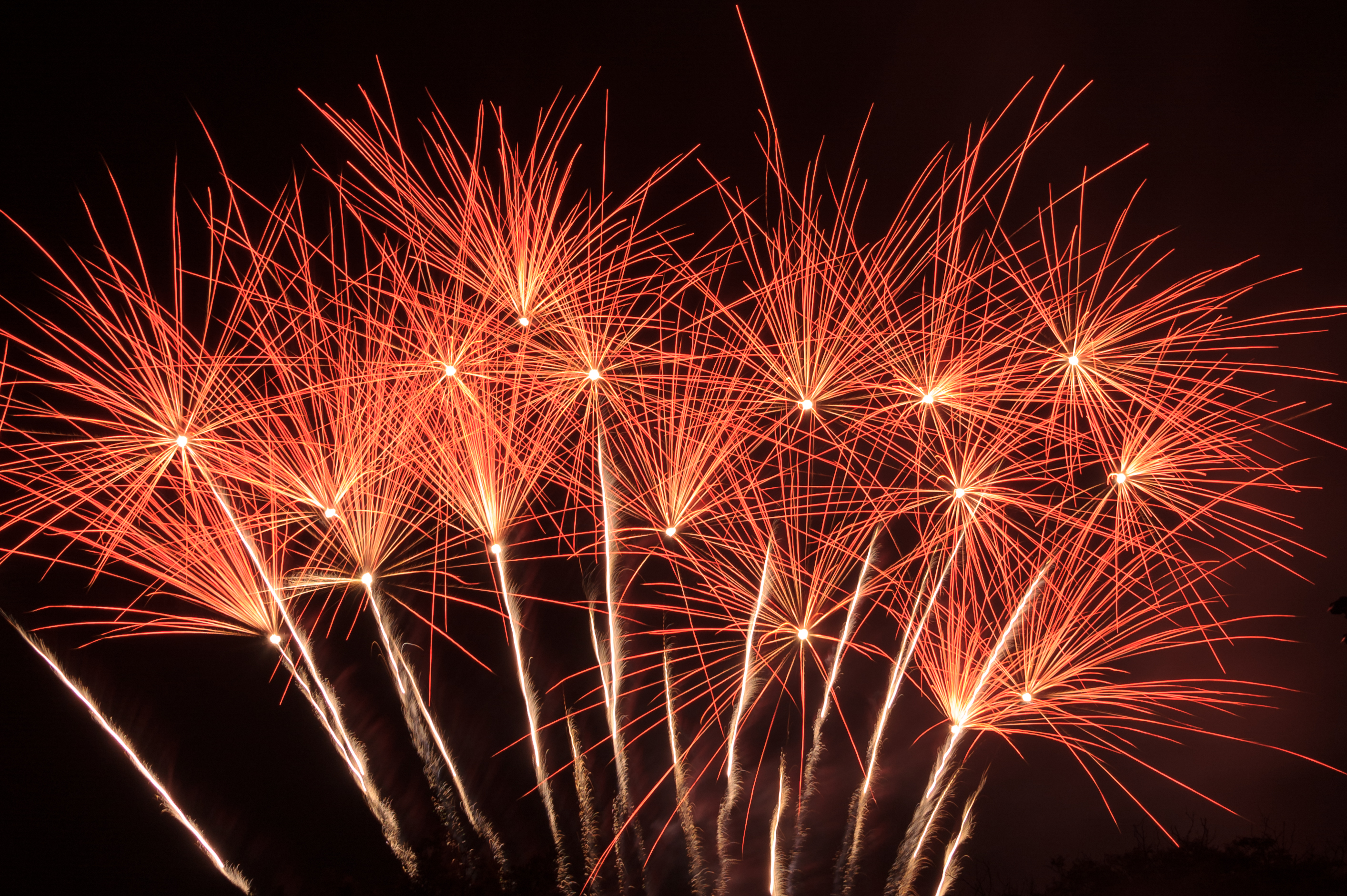 Classiest Fireworks Displays for Independence Day - Chloe Johnston