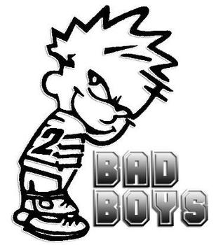 ladies: bad boys or nice guys?