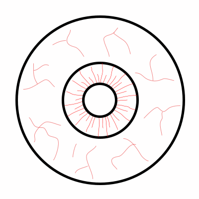 Drawing a cartoon eyeball - ClipArt Best - ClipArt Best