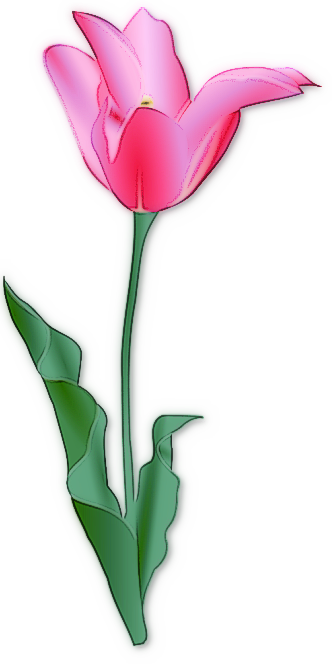 Tulip Flower Clip Art Free | Clipart Panda - Free Clipart Images