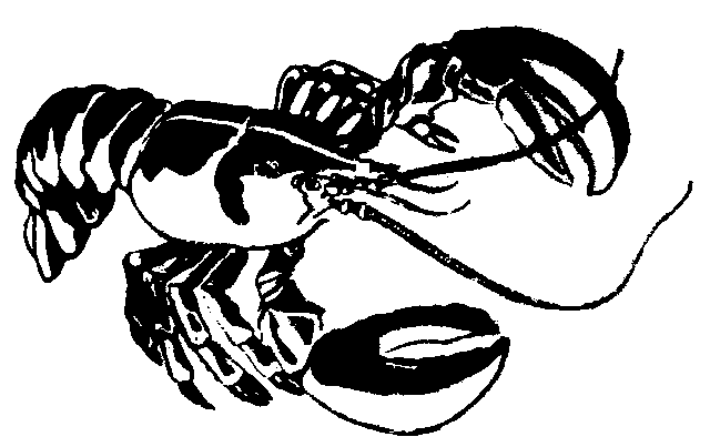 Lobster Clipart Black And White | Clipart Panda - Free Clipart Images
