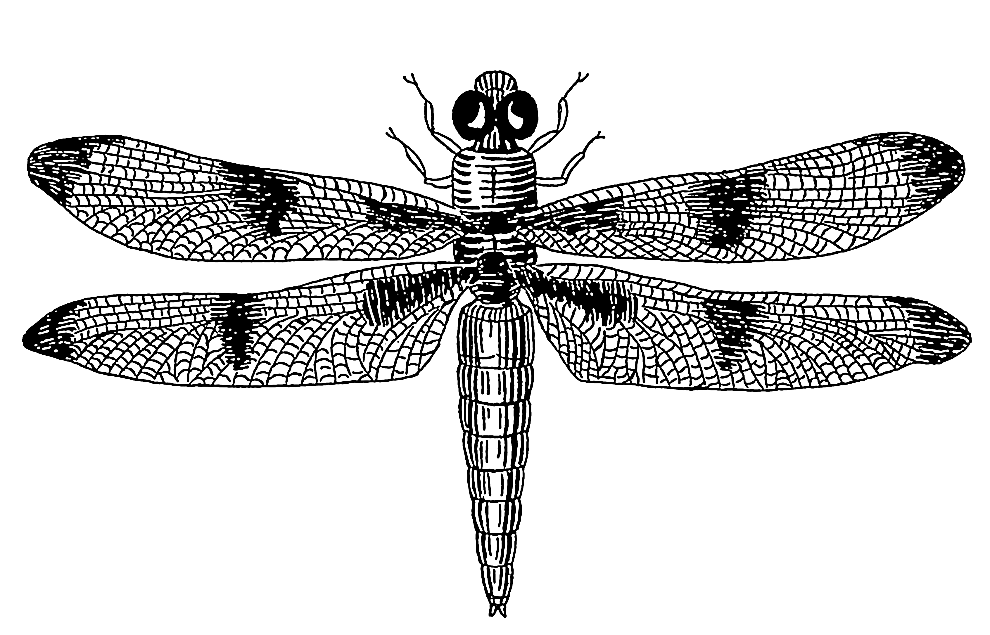 File:Dragonfly (PSF).png - Wikimedia Commons
