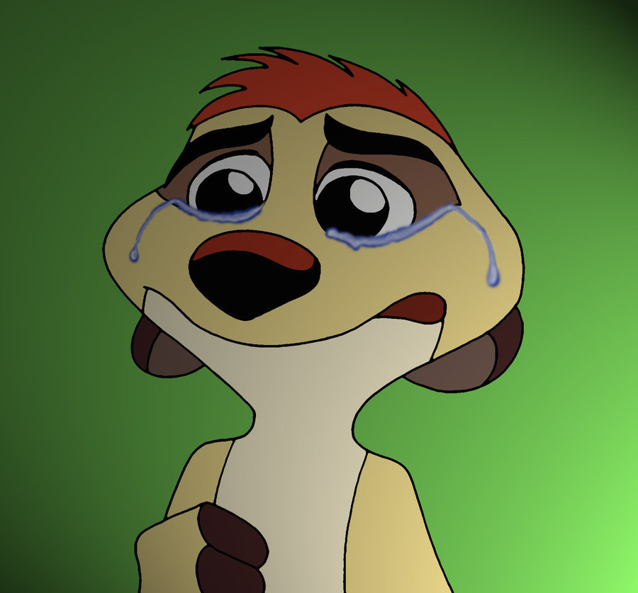 timon sad face by sprucehammer on DeviantArt