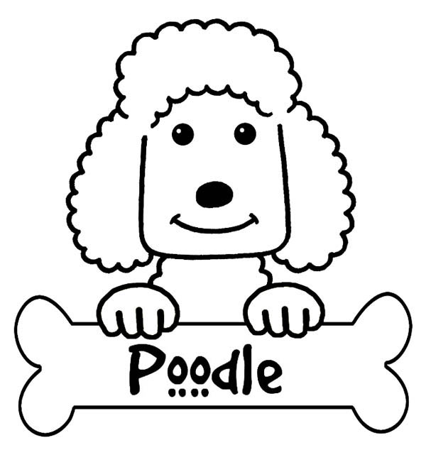 Yes I am a Poodle Everyone Coloring Page - Free & Printable ...