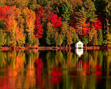 autumn_leaves2.jpeg