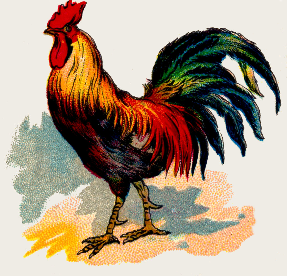 Thursday is Request Day Part 1 - Kite & Rooster - The Graphics Fairy