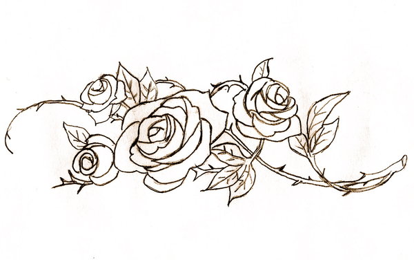 DeviantArt: More Artists Like Request: rose lineart by thewizisin