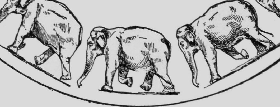 File:Descriptive Zoopraxography Elephant Ambling Animated 12.gif ...