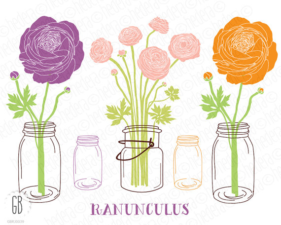 Mason jar ranunculus flowers digital vector clip by GrafikBoutique