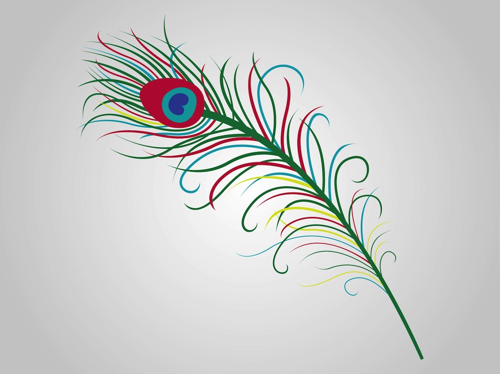 FreeVector-Peacock-Feather.jpg