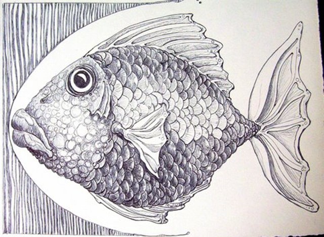 Image Gallery For : Ink Drawings Of Fish - Cliparts.co