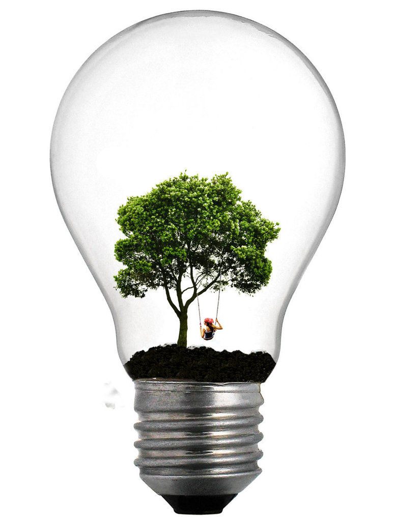 Light Bulbs