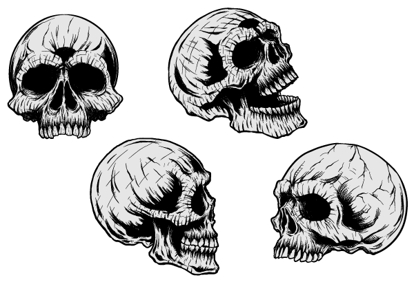 Vector Clip Art Skulls | Free Vector Graphics Download | Free ...