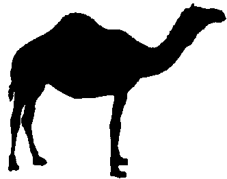 Camel Clip Art - ClipArt Best