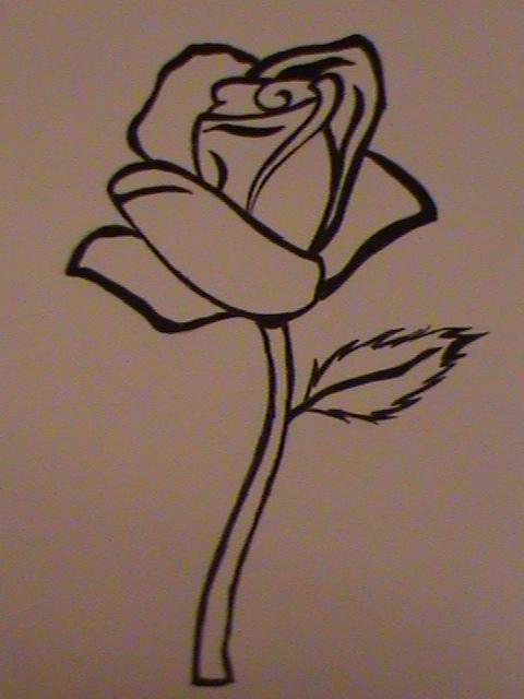 Line Drawing Rose by AnimeGamer15 on DeviantArt