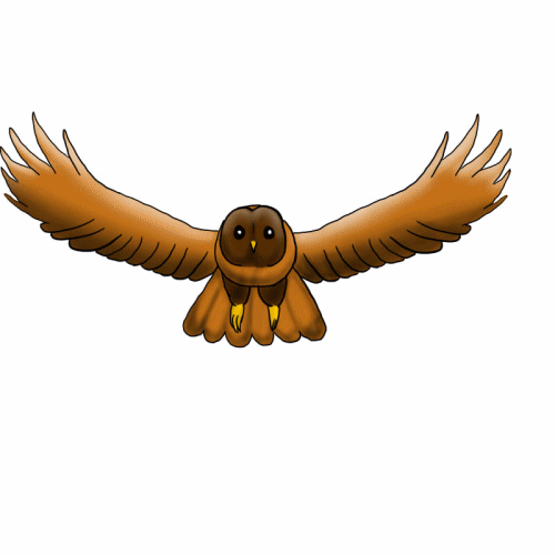 Owl Animation-now colored by Freaky--Like--Vivi on DeviantArt